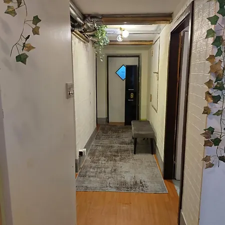 Crazyroom 斯拉德明