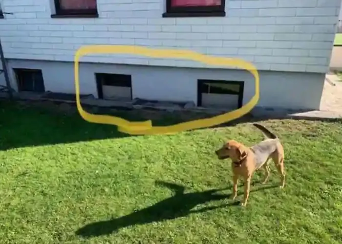 Crazyroom * 斯拉德明