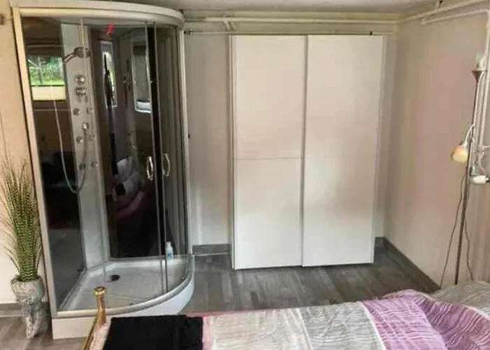 营地 Crazyroom 斯拉德明