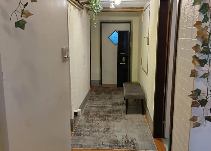 Crazyroom 斯拉德明